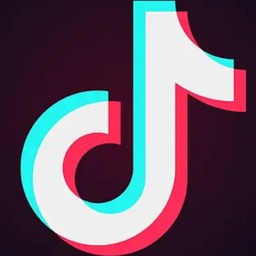 TikTok Boost logo